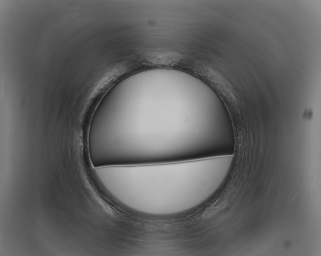X0000097630634200802290845