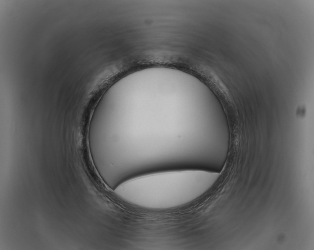 X0000097630635200802290845