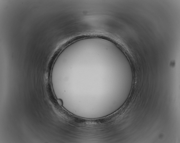 X0000097630636200802290845