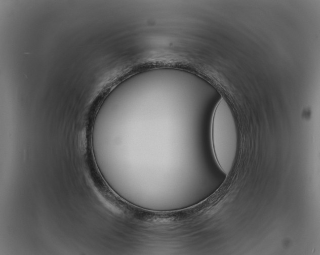 X0000097630638200802290845