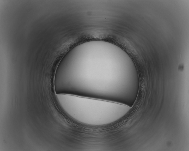 X0000097630639200802290845
