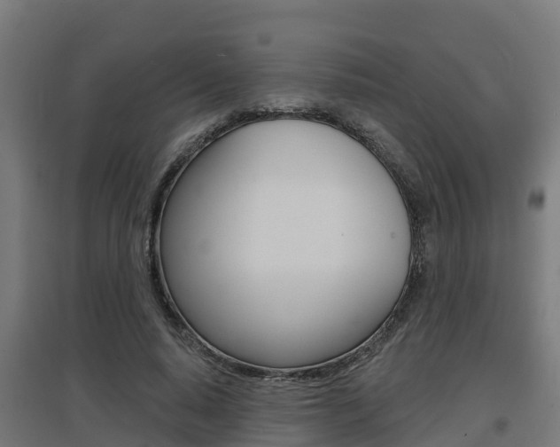 X0000097630640200802290845