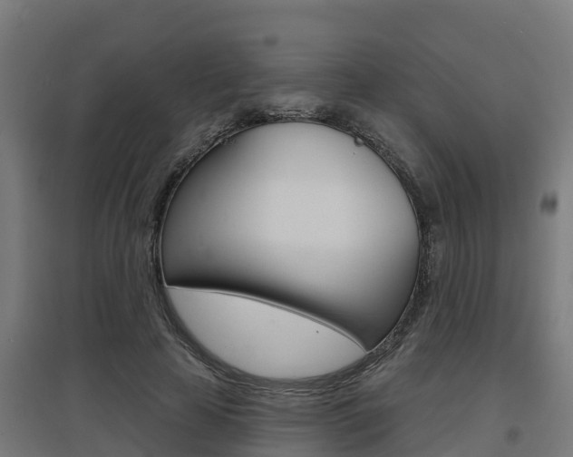 X0000097630641200802290845