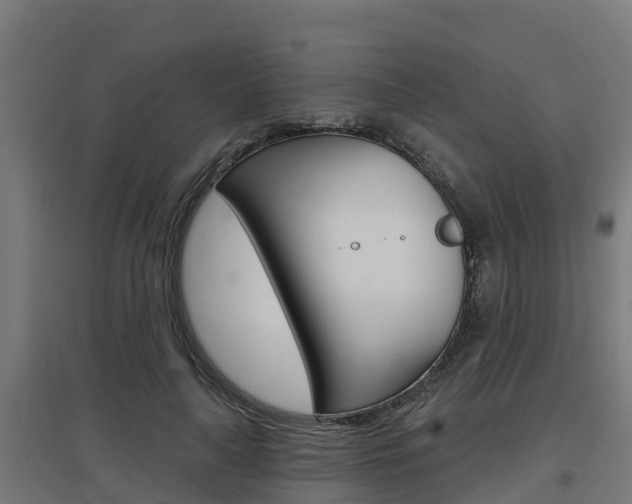 X0000097630643200802290845