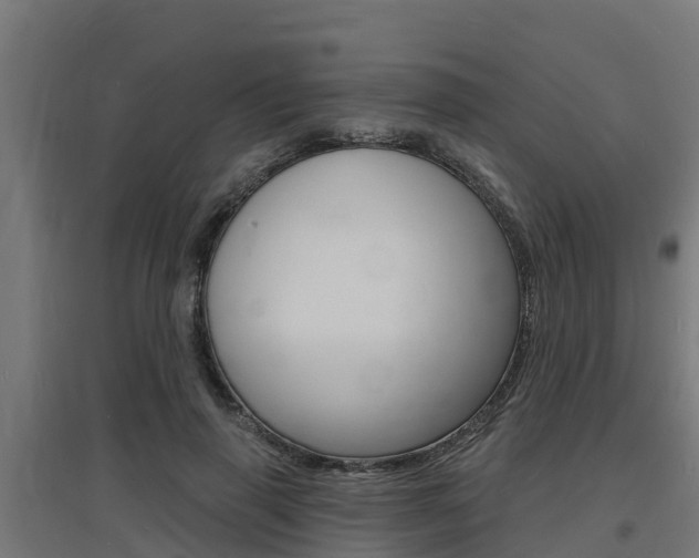 X0000097630645200802290845