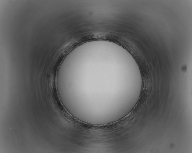 X0000097630648200802290845