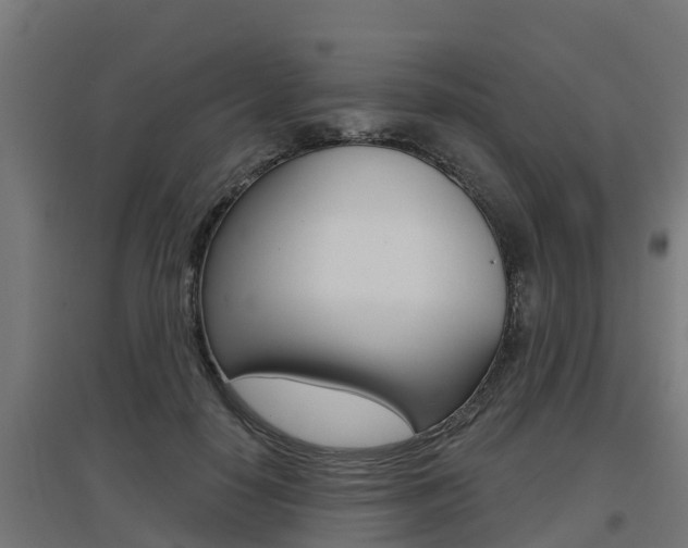 X0000097630650200802290845