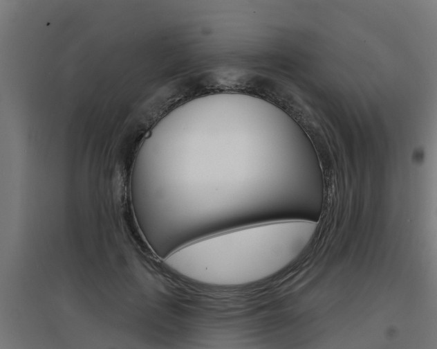X0000097630651200802290845