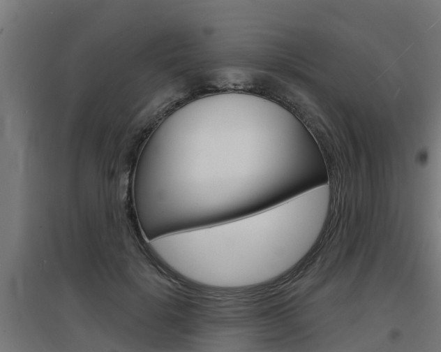 X0000097630652200802290845