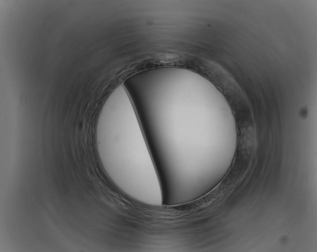 X0000097630653200802290845
