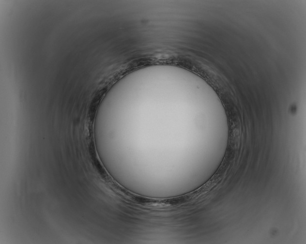 X0000097630654200802290845