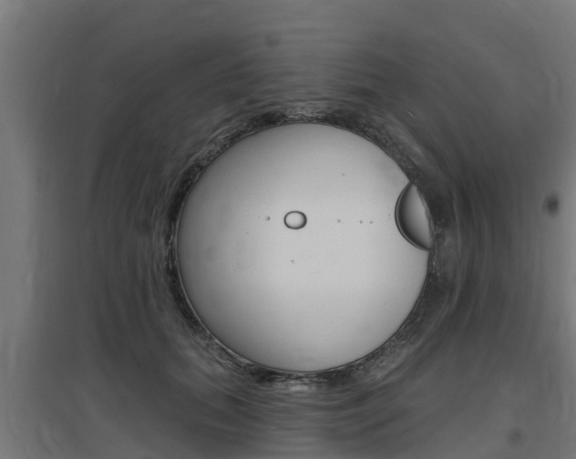 X0000097630655200802290845