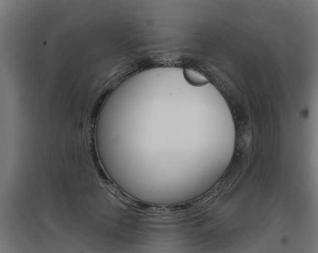 X0000097630658200802290845