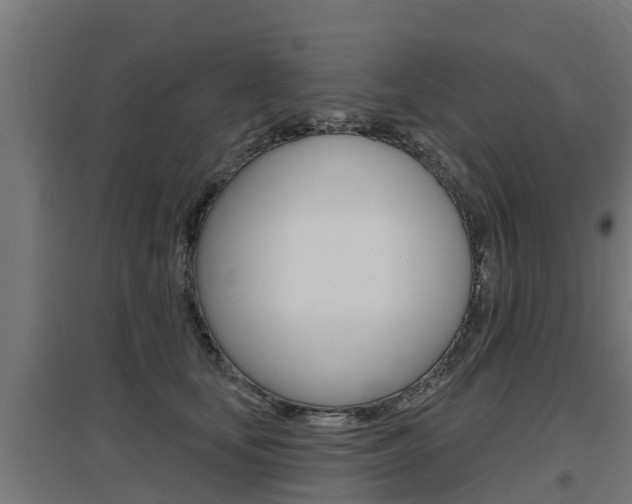 X0000097630659200802290845