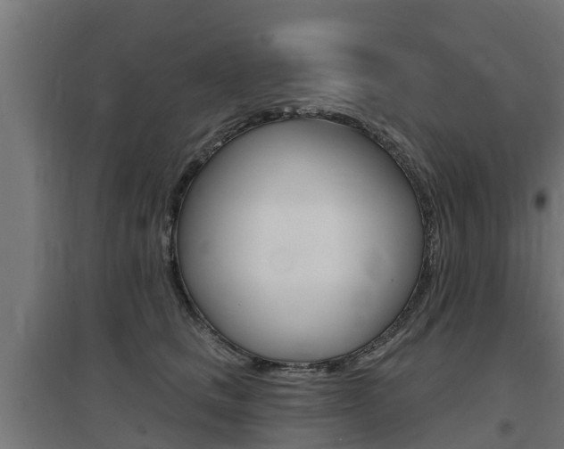 X0000097630661200802290845