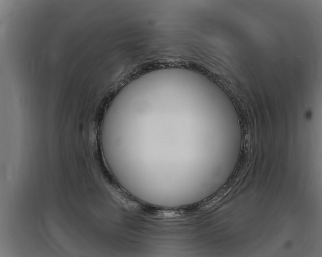 X0000097630662200802290845