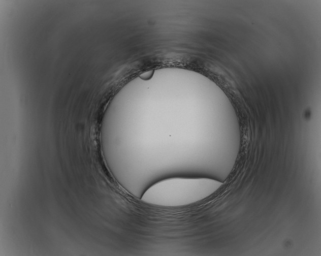 X0000097630663200802290845