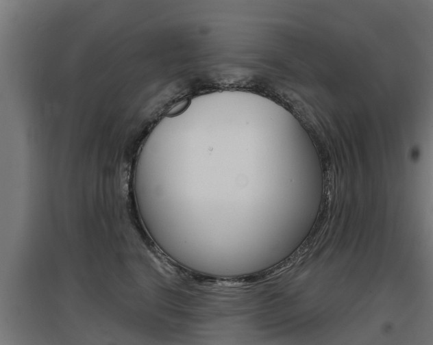 X0000097630664200802290845