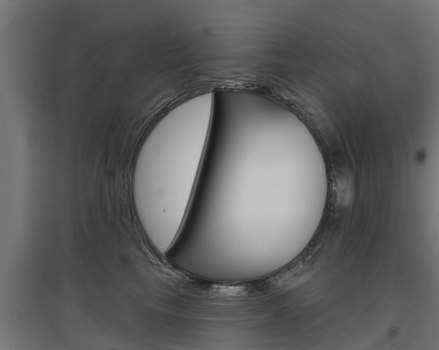X0000097630665200802290845