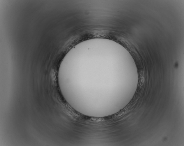 X0000097630667200802290846
