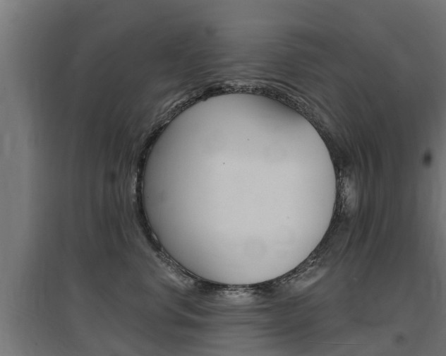 X0000097630668200802290846