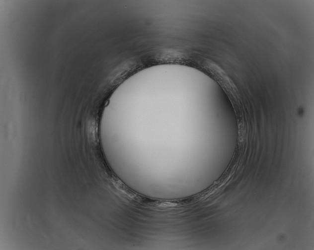 X0000097630669200802290846