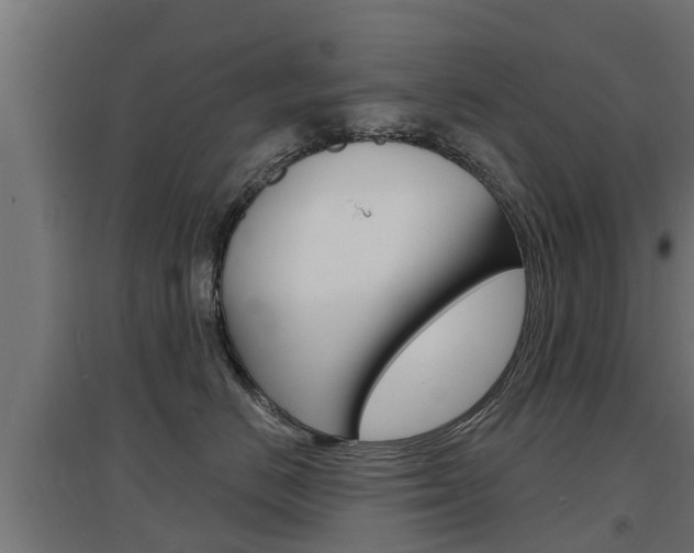 X0000097630670200802290846