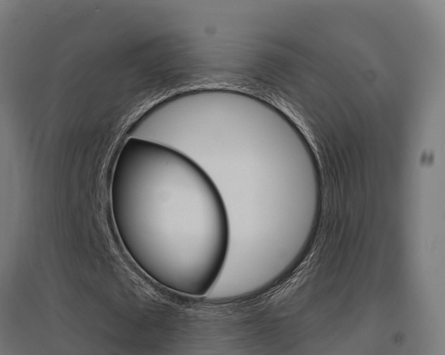 X0000097630673200802290845