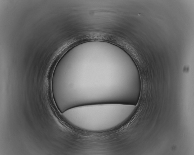 X0000097630674200802290845