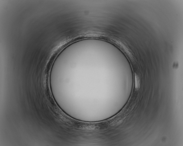 X0000097630675200802290845