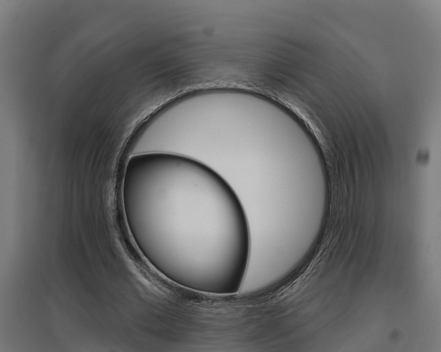 X0000097630677200802290845