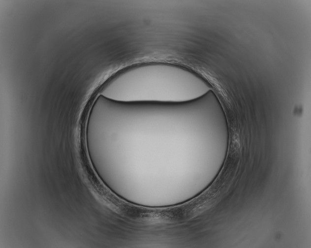X0000097630678200802290845