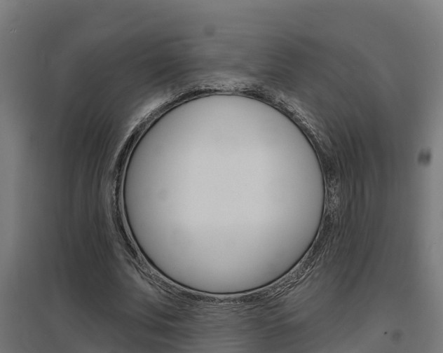 X0000097630679200802290845