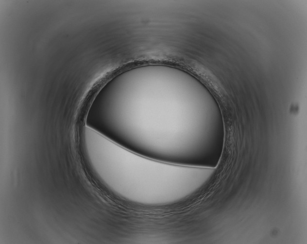 X0000097630680200802290845