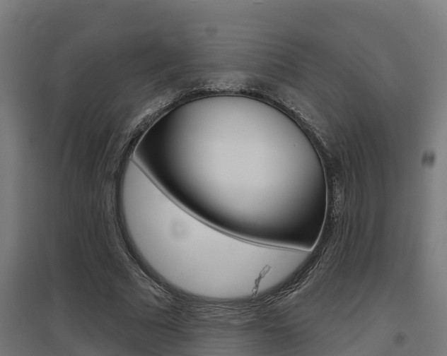 X0000097630681200802290845