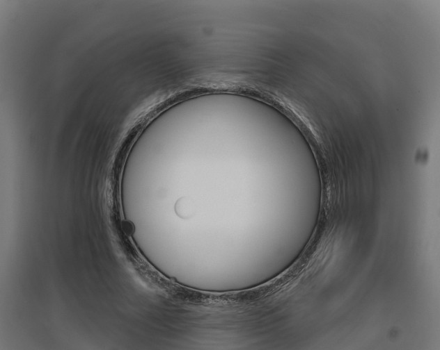 X0000097630682200802290845
