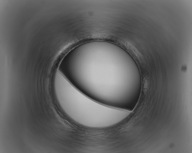 X0000097630684200802290845