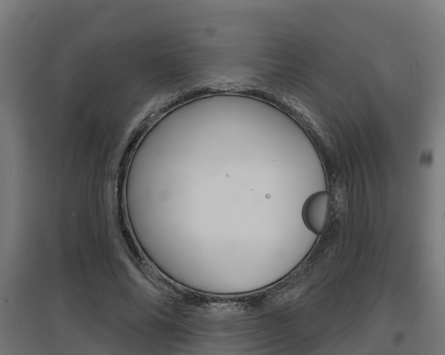 X0000097630686200802290845