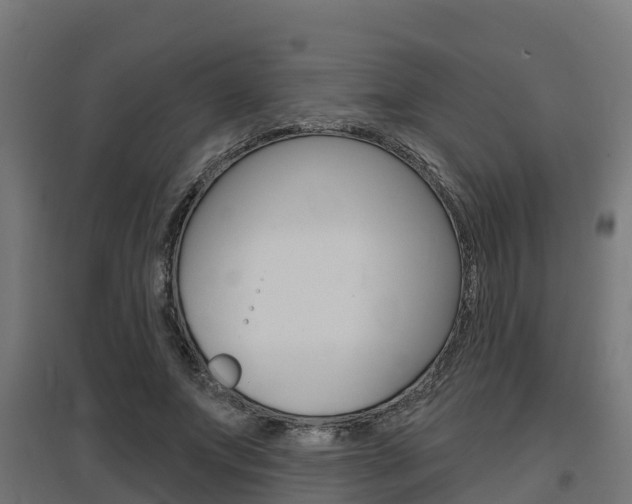 X0000097630687200802290845