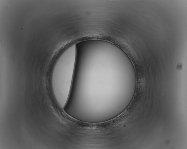 X0000097630688200802290845