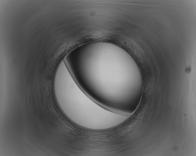X0000097630689200802290845