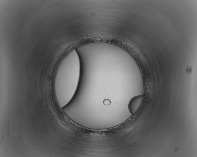 X0000097630690200802290845
