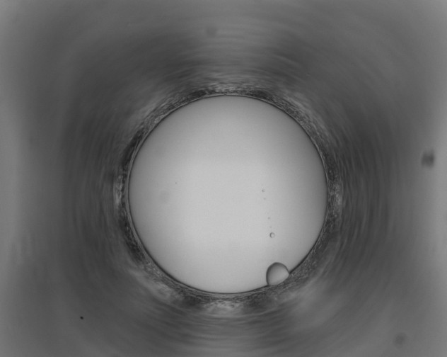 X0000097630691200802290845