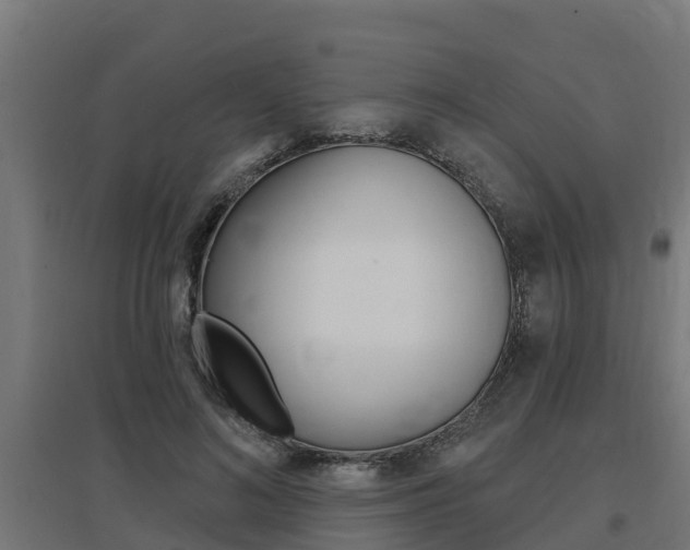 X0000097630692200802290845