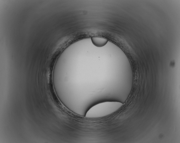 X0000097630694200802290845
