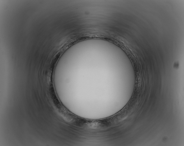 X0000097630695200802290844