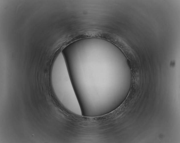 X0000097630696200802290844