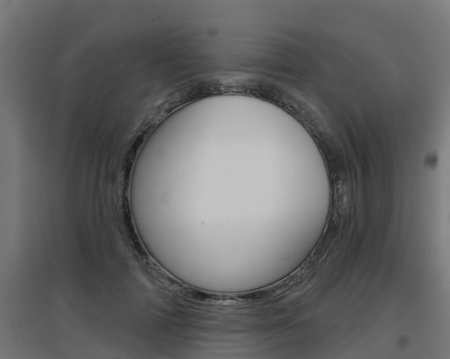 X0000097630698200802290844