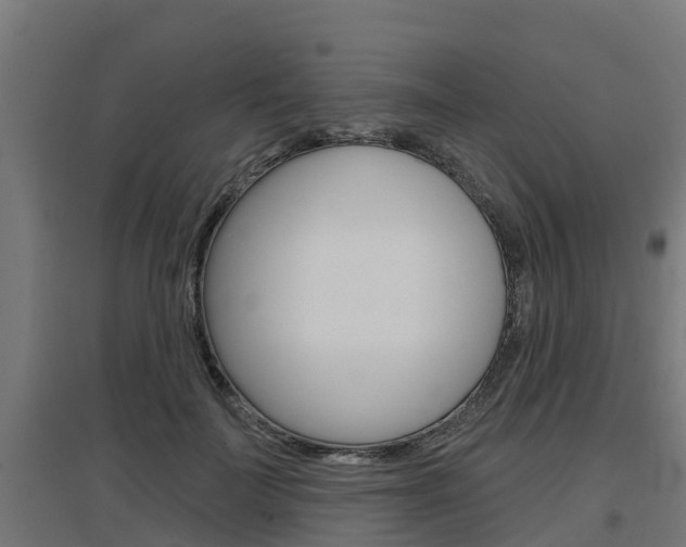 X0000097630699200802290844