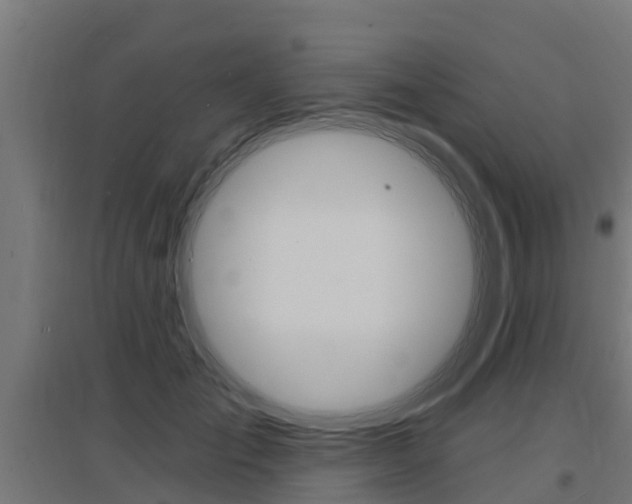 X0000097630701200802290844